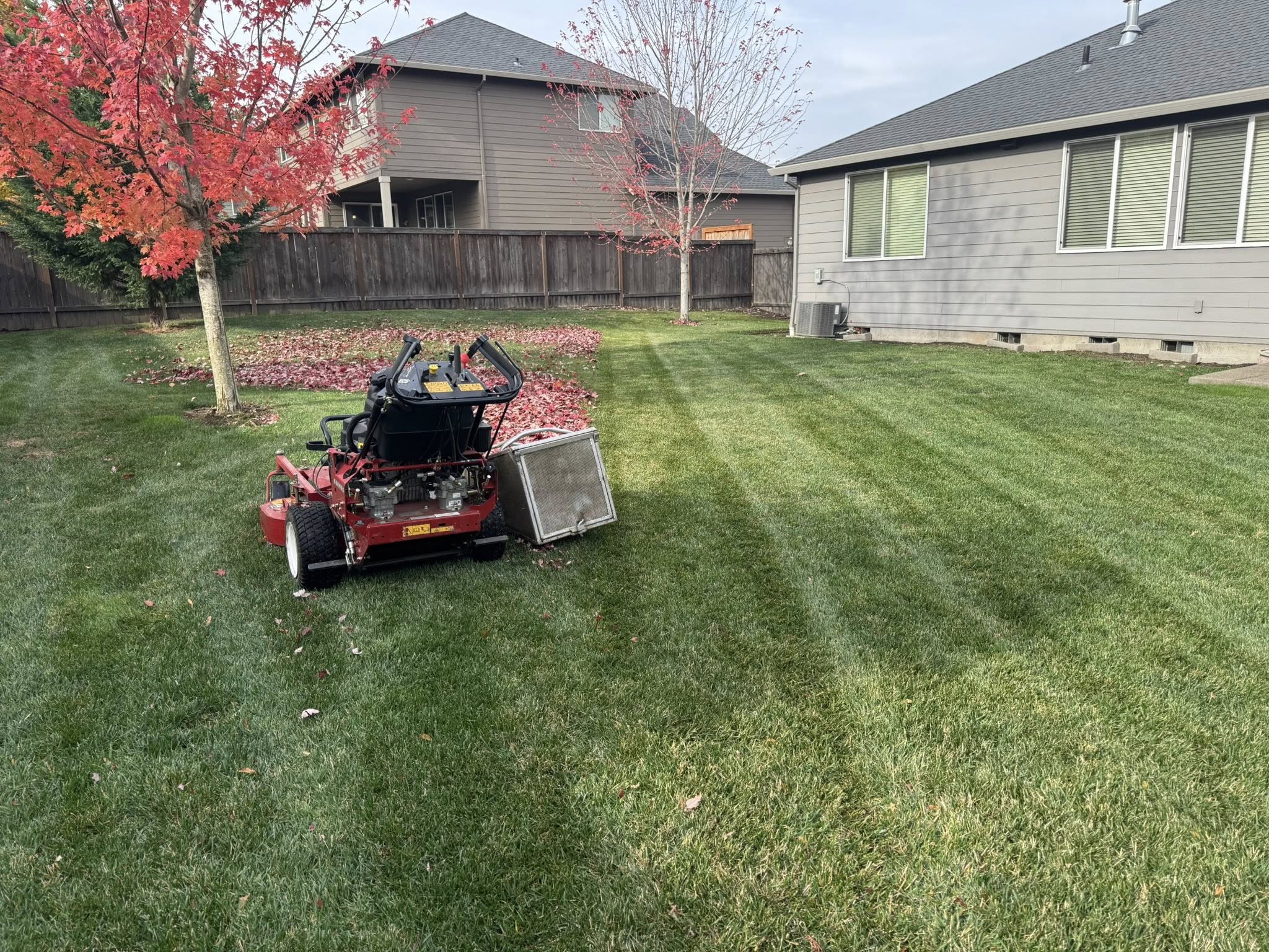 Core aeration services in Clackamas, Oregon
