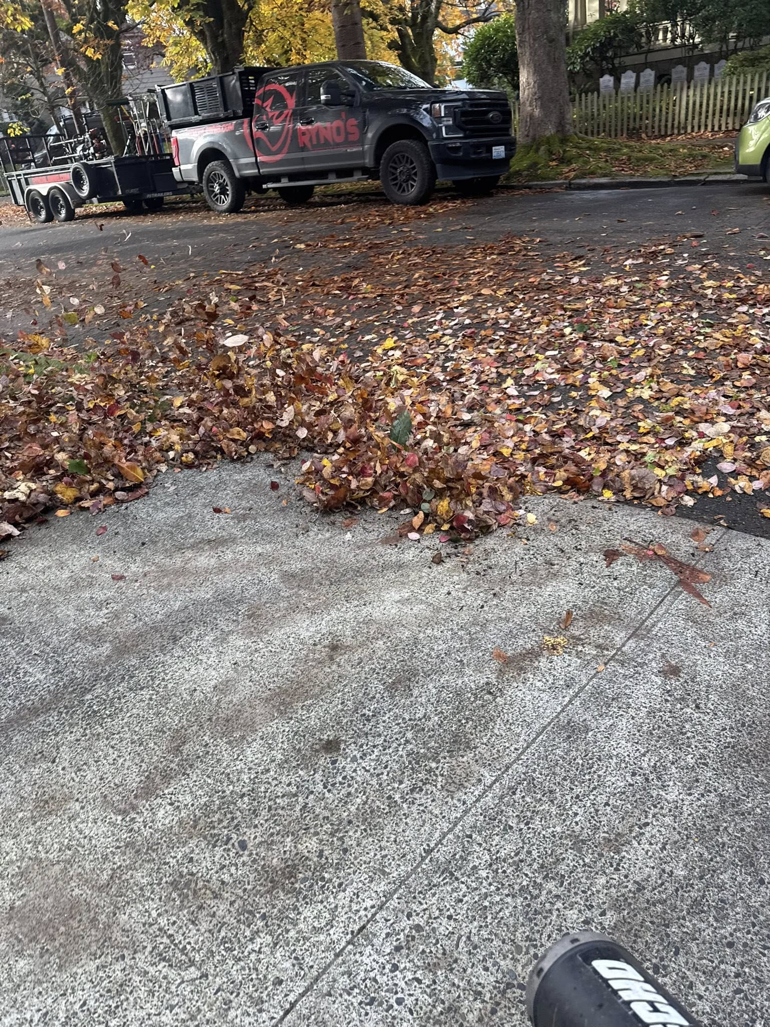Fall landscaping cleanup and preparation